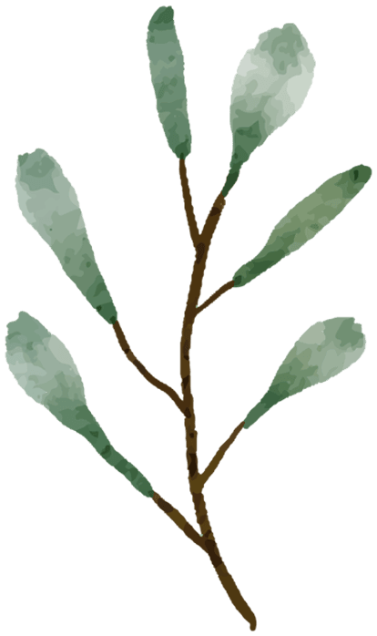 Decorative Leaf